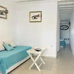 Mykonos Secret Spot Apartamento